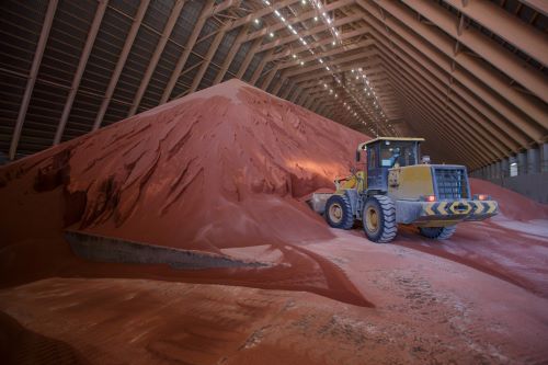 Loader moving potash in a large storage facility