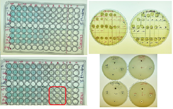 Antibacterial Properties of Enhanced Coating Techniques 